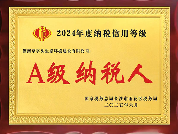 A级纳税人
