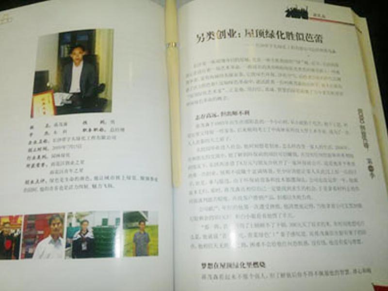 湖南草字头生态环境建设有限公司,人造草坪假草皮,湖南雨水收集处理工艺