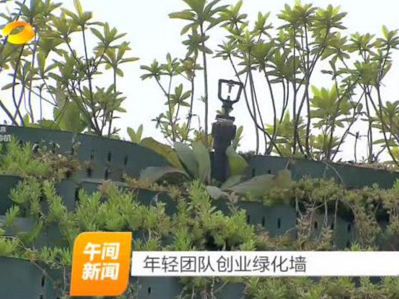 湖南草字头生态环境建设有限公司,人造草坪假草皮,湖南雨水收集处理工艺